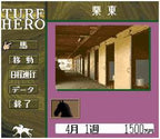 Turf Hero (JP)