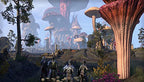 The Elder Scrolls Online: Morrowind (DE)