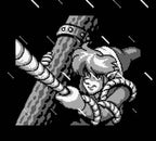 The Legend of Zelda: Link's Awakening (DE)