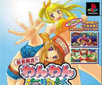 Sanyo Pachinko Paradise DX (JP)