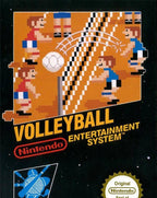 Volleyball
