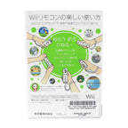 Your First Step to Wii (JP)
