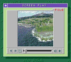 Power Golf 2: Golfer (JP)