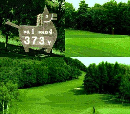 Power Golf 2: Golfer (JP)