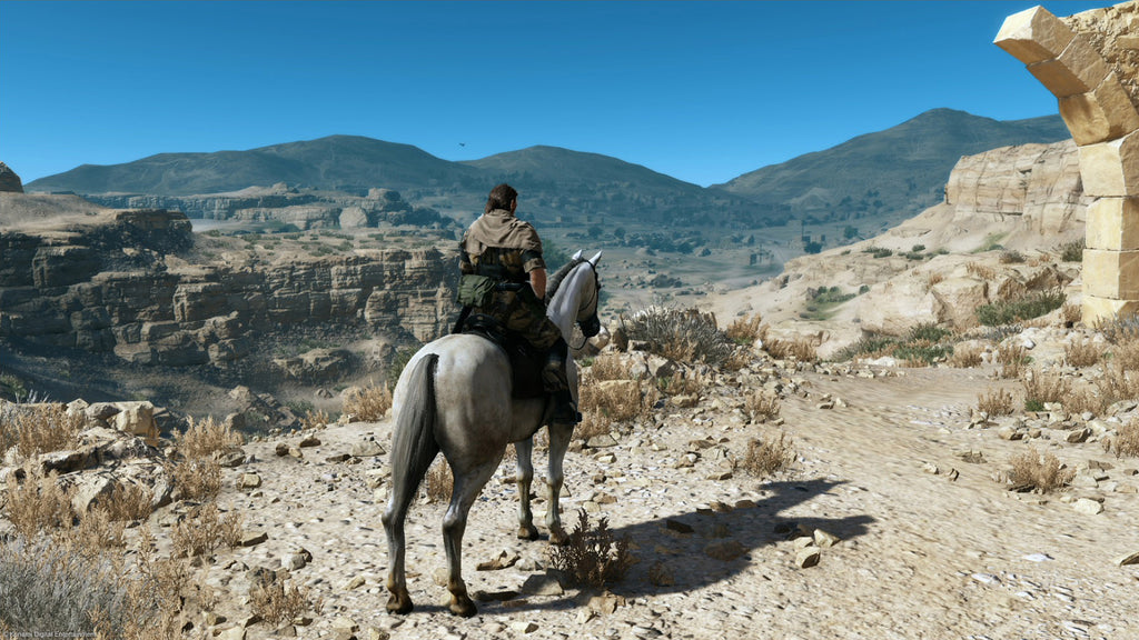 Metal Gear Solid V: The Phantom Pain (DE)