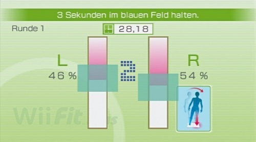 Wii Fit Plus (JP)