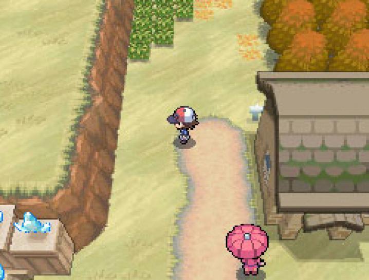 Pokemon Schwarze Edition / Black Version (ES)