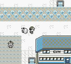 Pokemon Gelbe Edition (DE)
