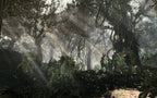 Call of Duty: Ghosts (DE)