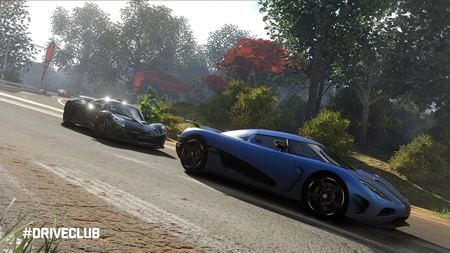 DriveClub (DE)