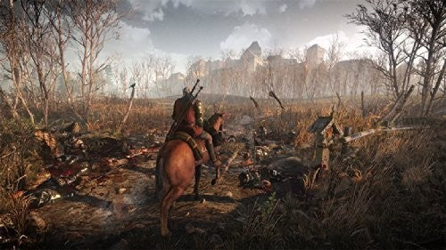 The Witcher III: Wild Hunt (DE)