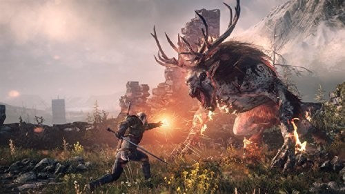 The Witcher III: Wild Hunt (DE)