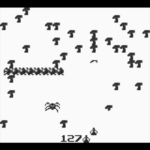 Centipede