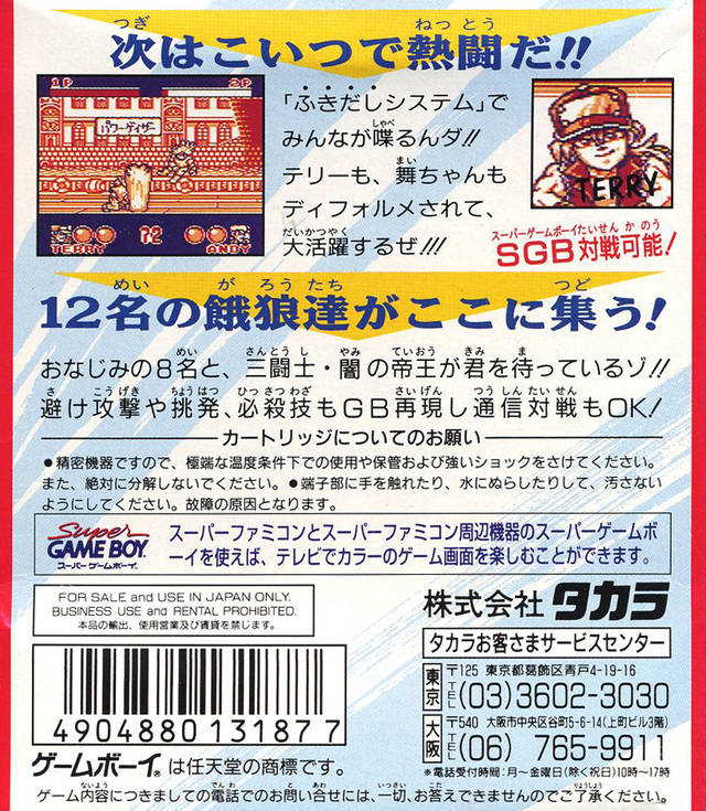Fatal Fury 2: Dead Heat Fighters DMG-X3J (JP)