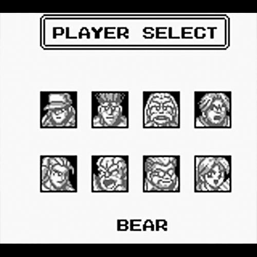 Fatal Fury 2: Dead Heat Fighters DMG-X3J (JP)