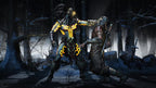 Mortal Kombat X (DE)