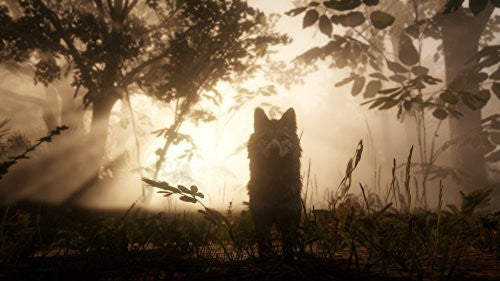 Red Dead Redemption 2 (DE) — Special Edition