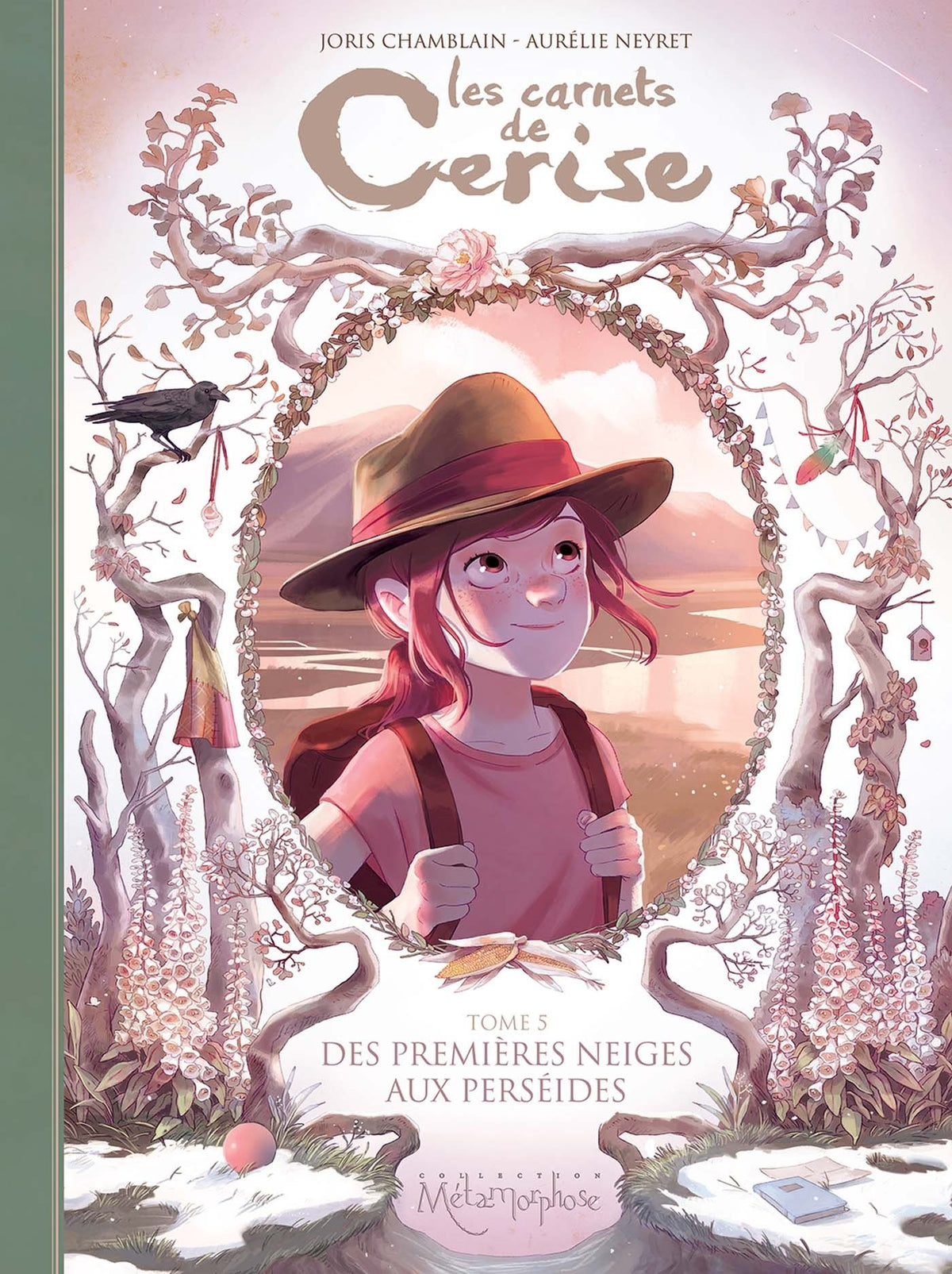 Comic: Les Carnets de Cerise : Des premières neiges aux perséides - Tome 05 (FR)