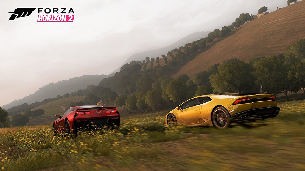 Forza Horizon 2 (DE)