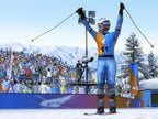 RTL Winter Sports 2009: The Next Challenge (DE)