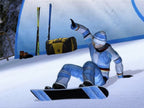 RTL Winter Sports 2009: The Next Challenge (DE)