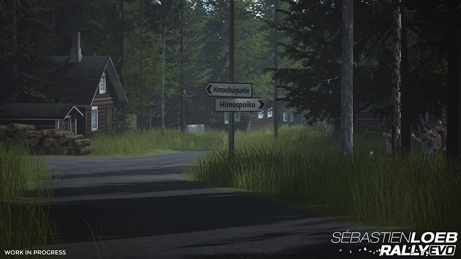 Sebastian Loeb Rally Evo