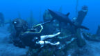 Tomb Raider: Underworld (DE) — Essentials