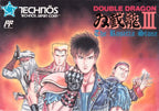 Double Dragon III: The Rosetta Stone (JP)
