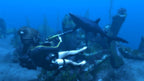 Tomb Raider: Underworld (DE)