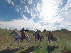 Mount & Blade Collection