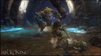 Kingdoms of Amalur: Reckoning (AT)