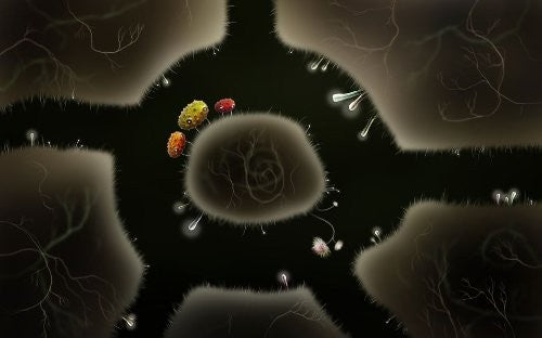 Botanicula