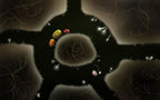 Botanicula