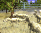 Wildlife Park 2 - Dino World