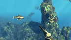 Depth Hunter - Der Speerfischen-Simulator