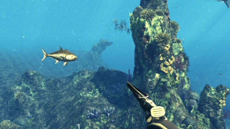Depth Hunter - Der Speerfischen-Simulator