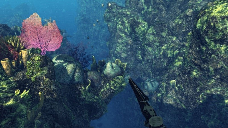 Depth Hunter - Der Speerfischen-Simulator