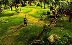 Holy Avatar vs Maidens of the Dead