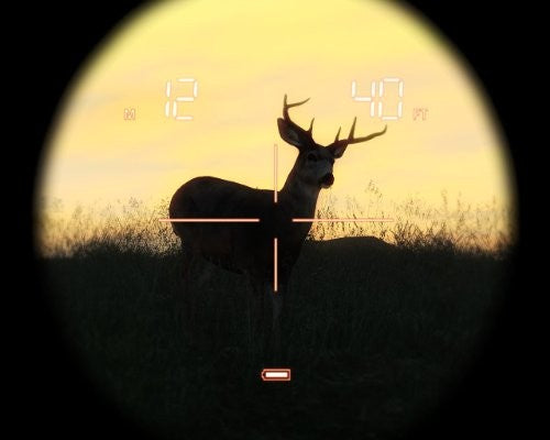 The Hunter 2013 - Deutsche Wälder