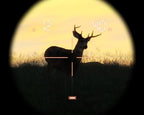 The Hunter 2013 - Deutsche Wälder