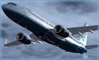 Flight Simulator X - PMDG 737 NGX