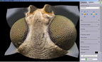Helicon Focus Pro
