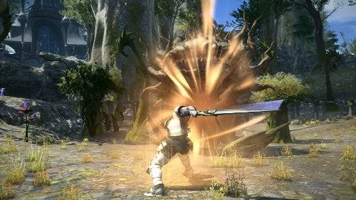 Final Fantasy 14: A Realm Reborn — Collector's Edition