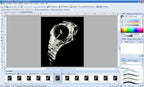 DrawPlus X4