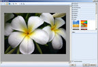 PhotoPlus X4