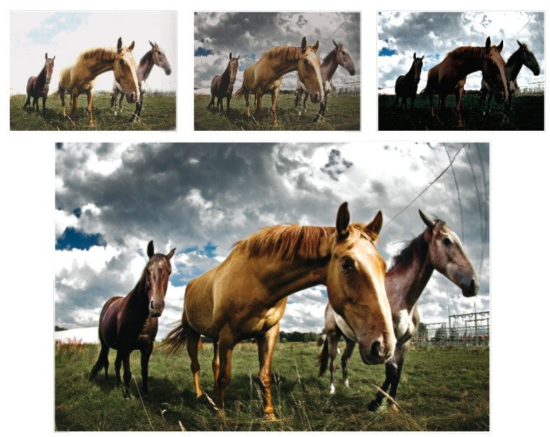 PhotoPlus X3 [Avanquest] [Platinum]