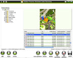 Data Recovery [Avanquest] [Platinum]