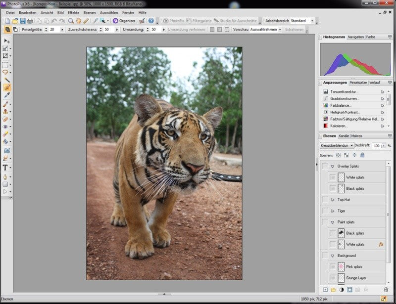 PhotoPlus X6 — Special Edition