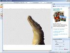 Serif PhotoPlus X4 [Avanquest] [Platinum]