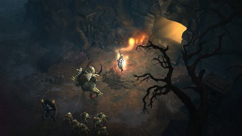 Diablo III: Reaper of Souls — Collector's Edition